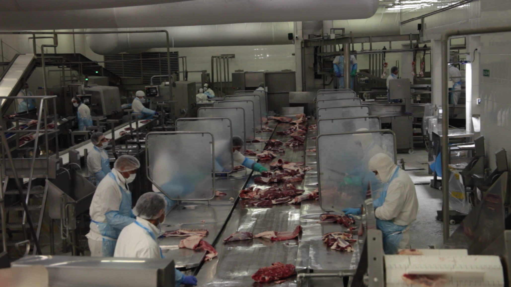 Informe de Exportaciones