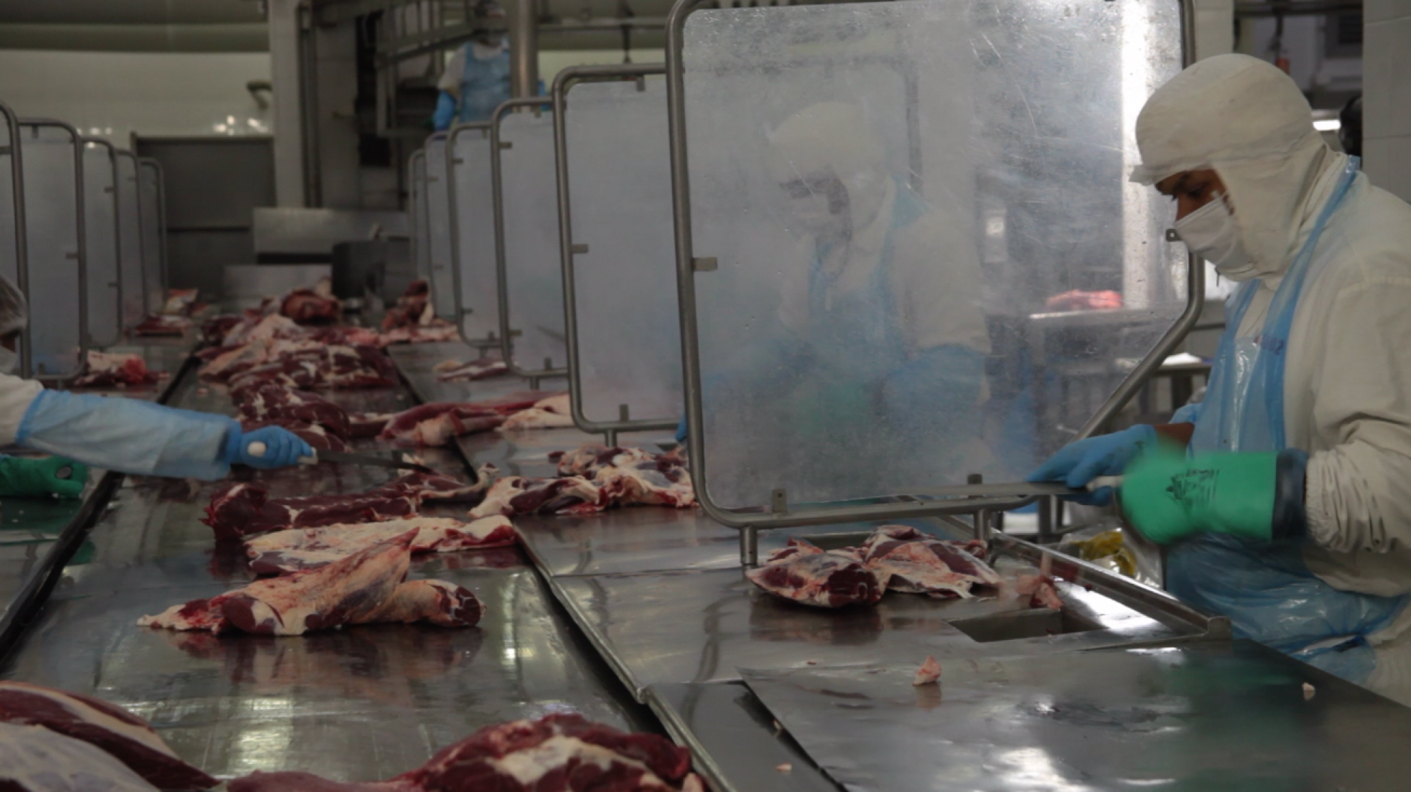 Escherichia coli y la carne bovina