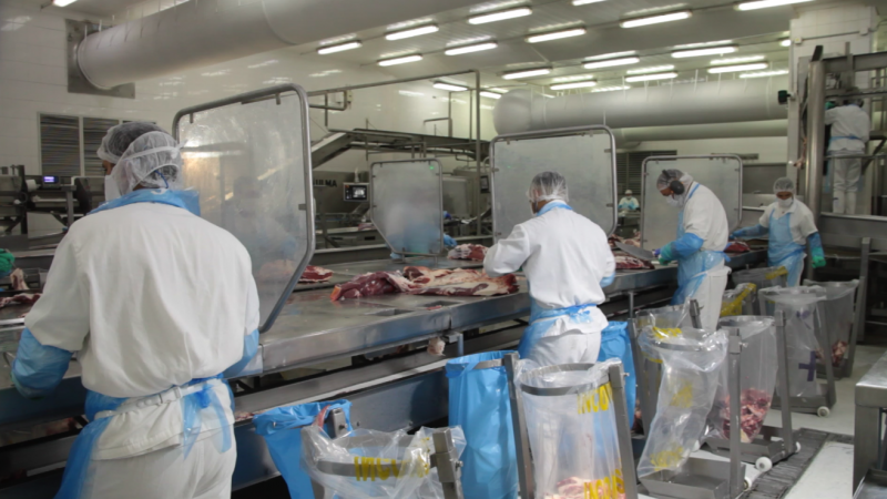 Apuntan a modernizar el sistema de gestión de la tipificación bovina