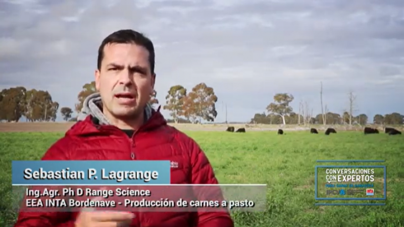 Recría sustentable en verdeos de invierno