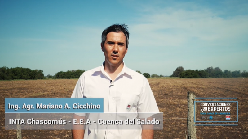 Tips para el cultivo de Sorgo