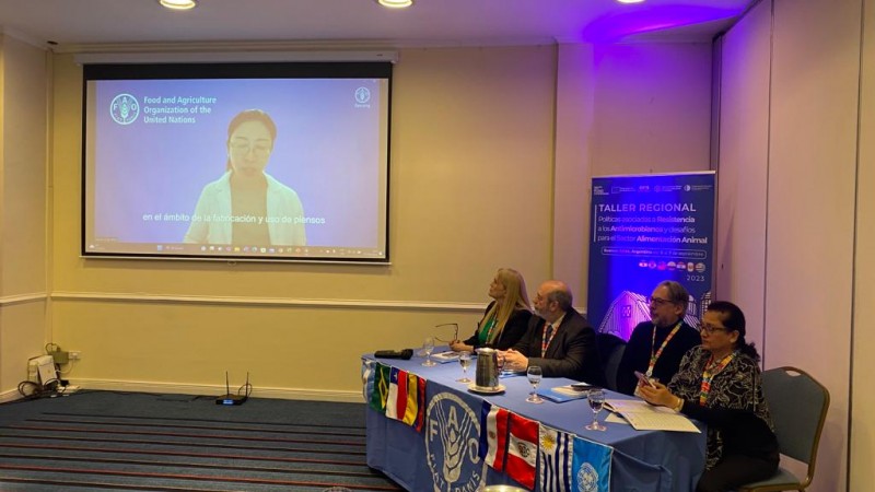 Buscan reducir resistencia antimicrobiana en la alimentación animal