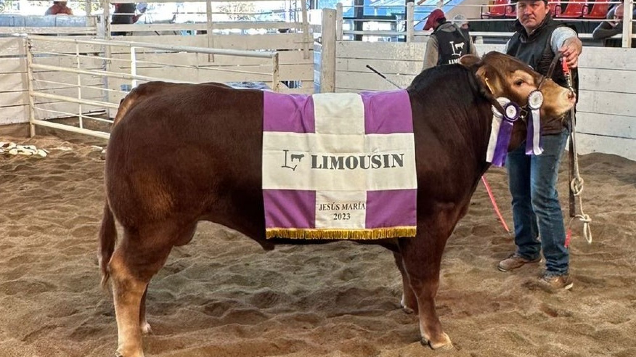 Con 112 ejemplares, Limousin fue la raza más numerosa