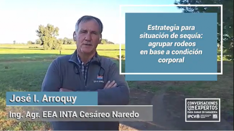 Sequía y manejo del rodeo de cría