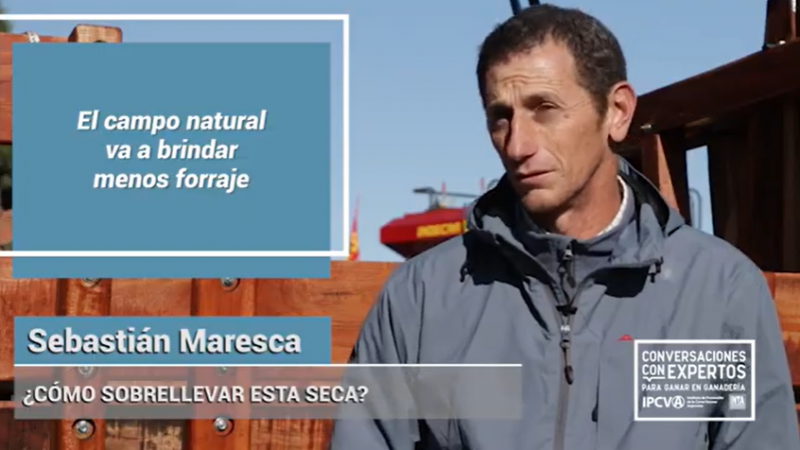 ¿Cómo planificar el forraje del campo con la seca?