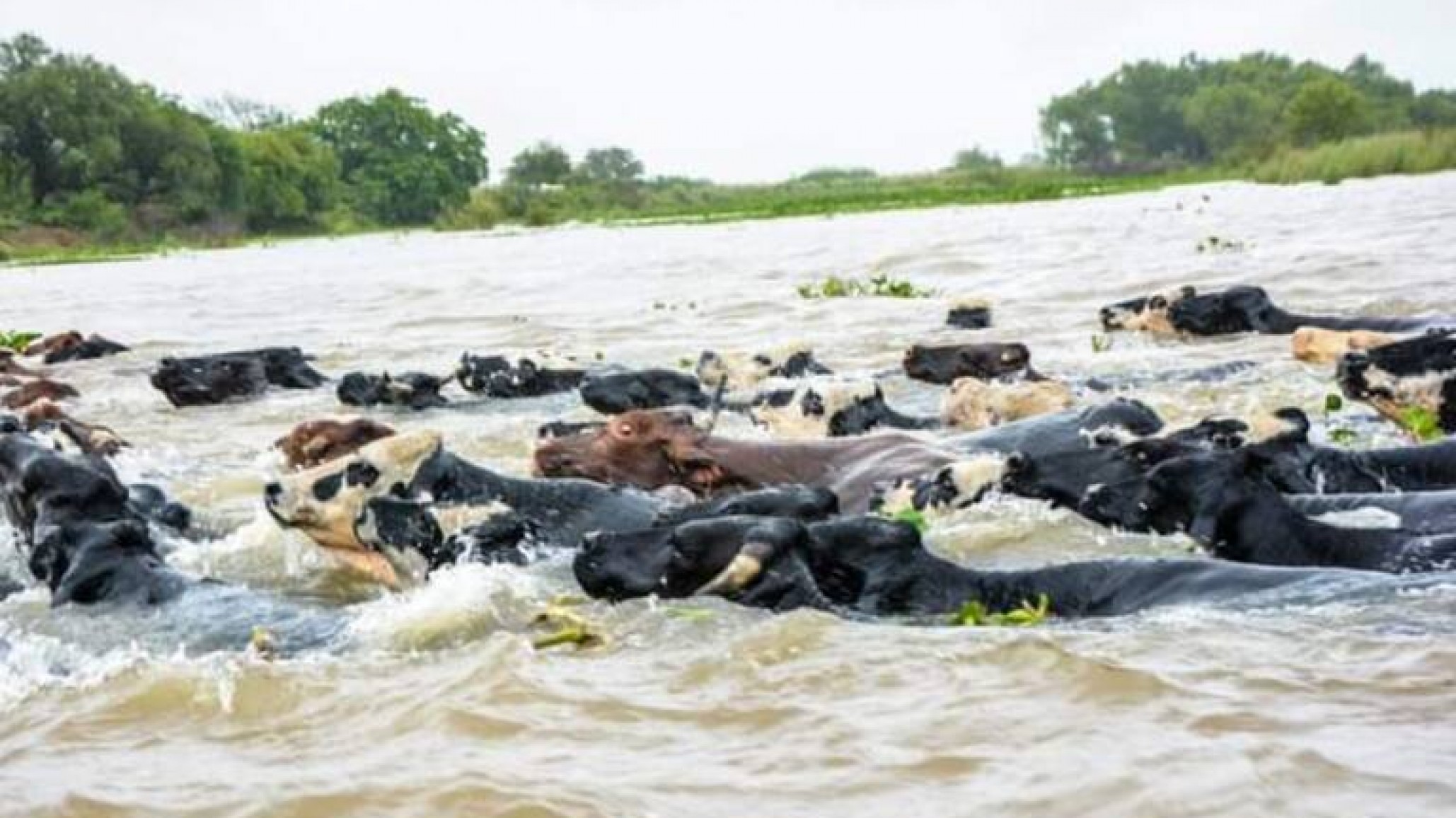 Cómo reducir el estrés de la mudanza al continente