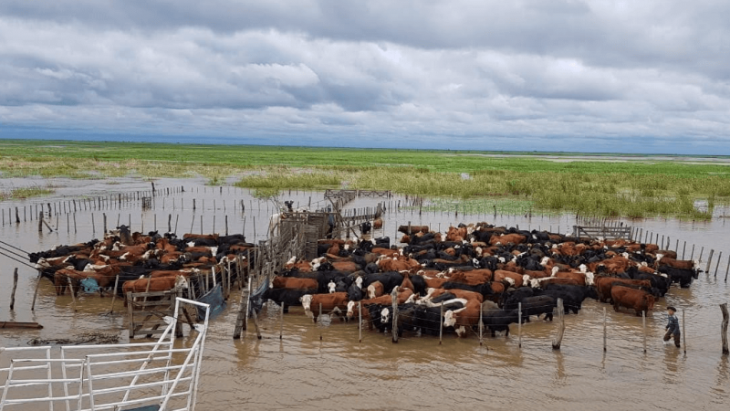 Manejo en situaciones hídricas extremas