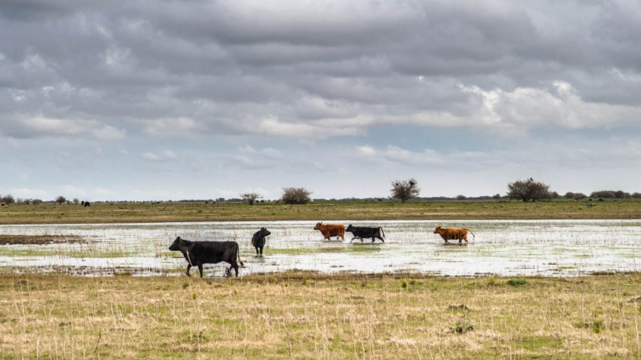 Campos bajos: adelantarse al riesgo