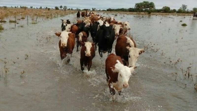 Campos bajos: adelantarse al riesgo