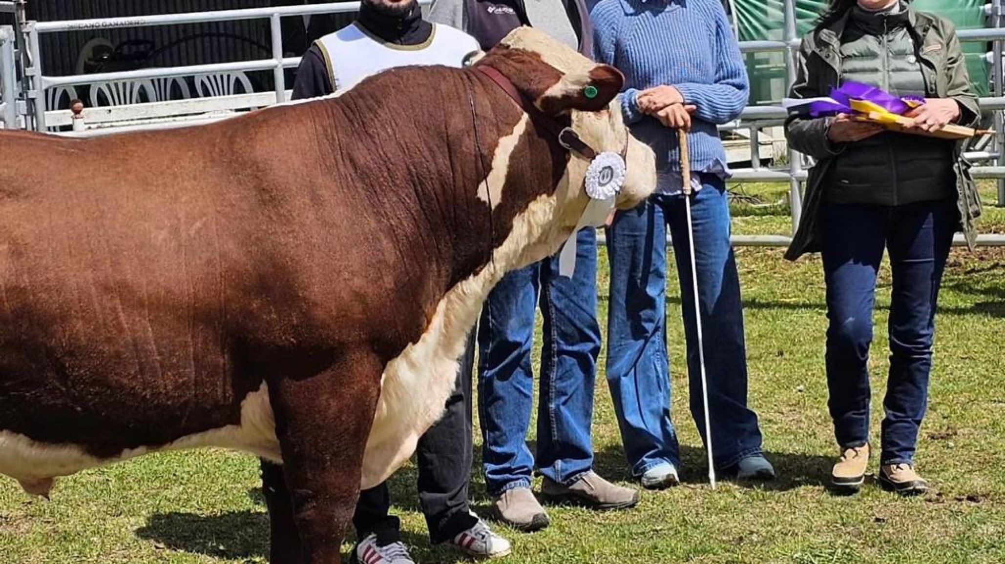 Hereford realizó la expo Río Grande