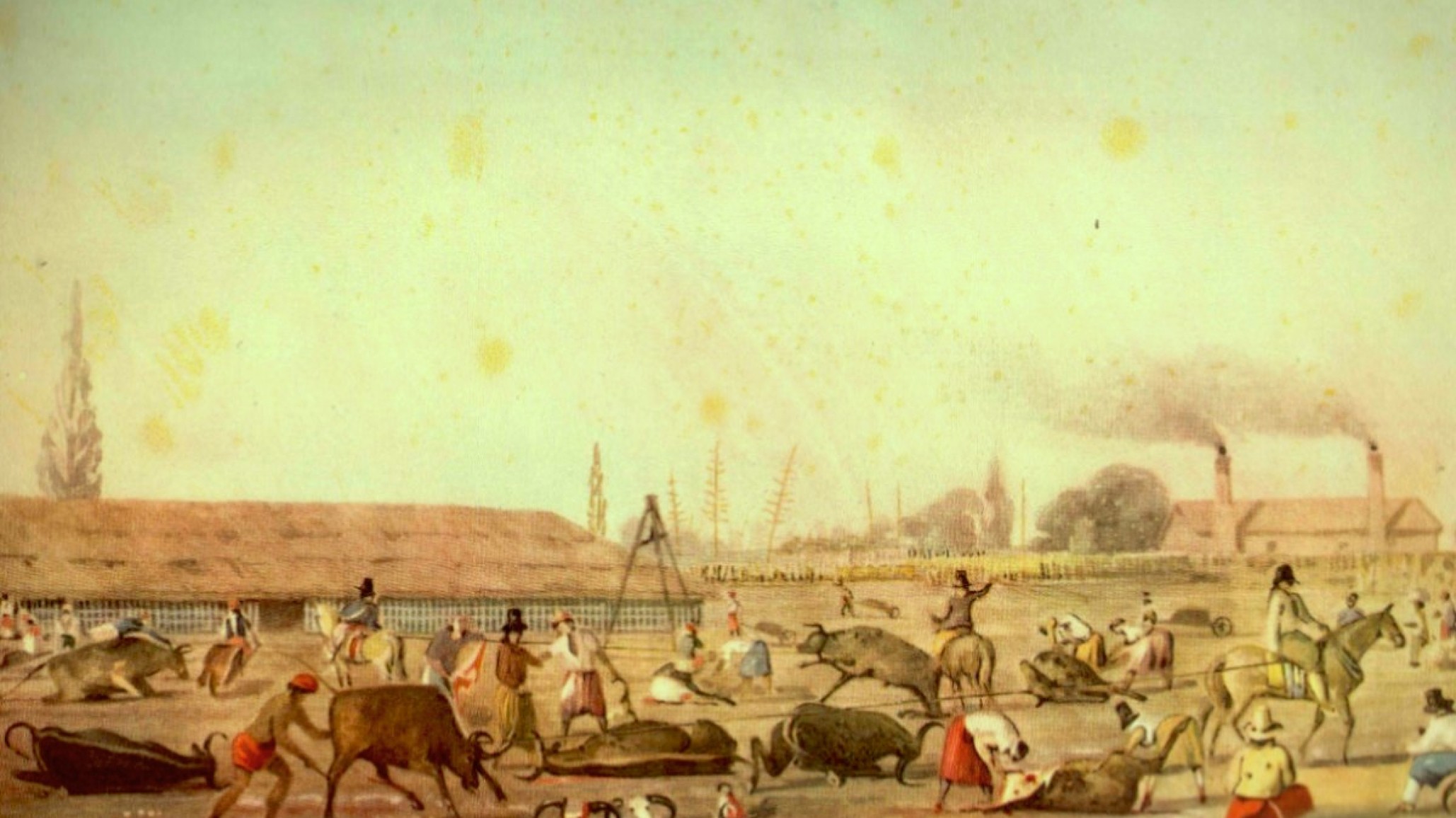 La Mazorca, Echeverría, Rosas y los "Carnizas" de El Matadero