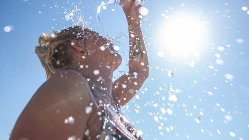 Altas temperaturas y salud: hidratación y proteínas de alta calidad