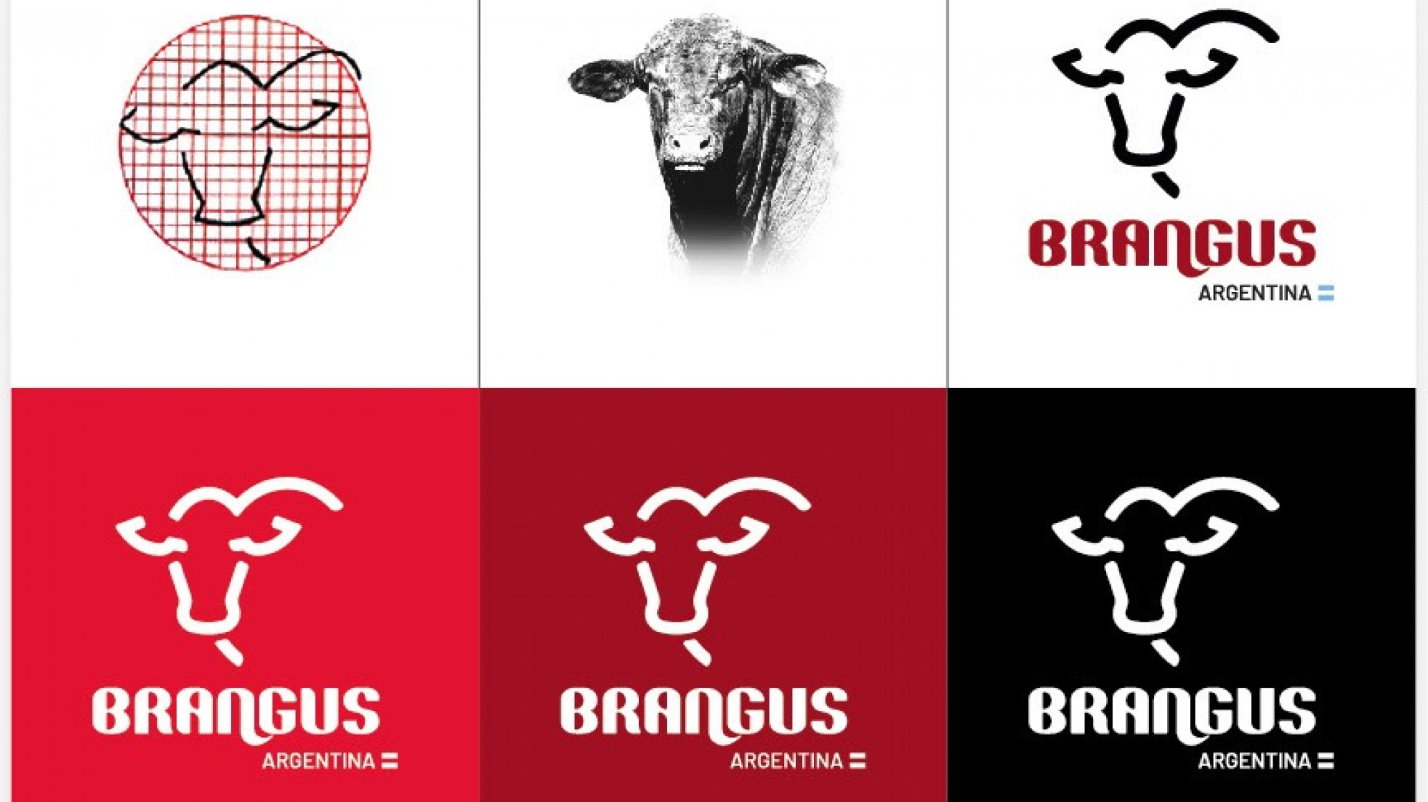 Brangus: una Asociación que cumple 45 años en el país