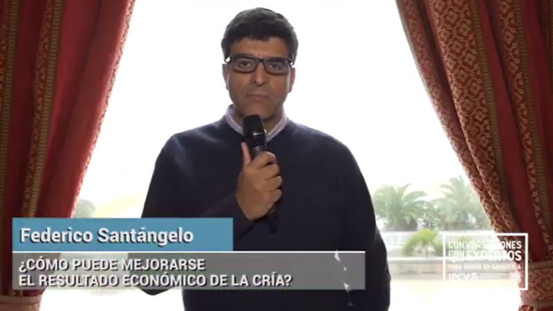 ¿Cómo puede mejorarse el resultado económico de la cría?
