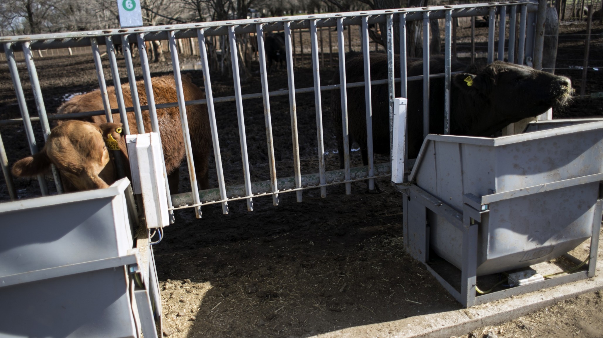 Tecnología al servicio del productor