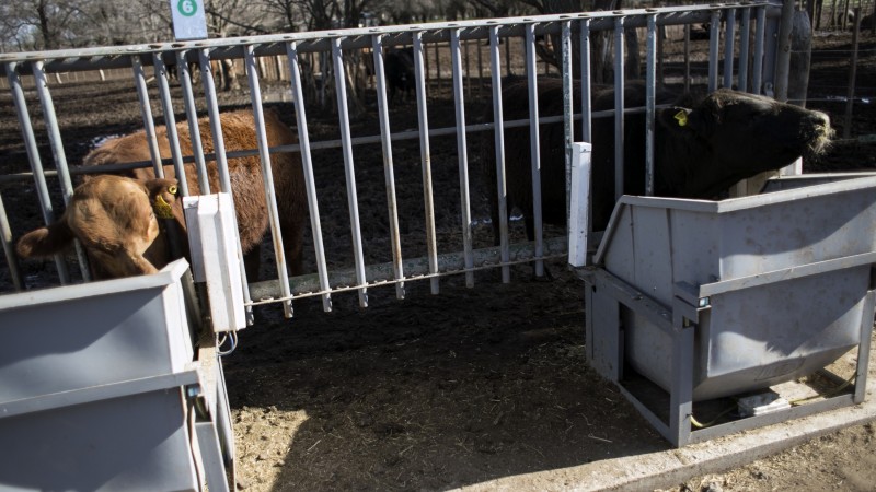 Tecnología al servicio del productor