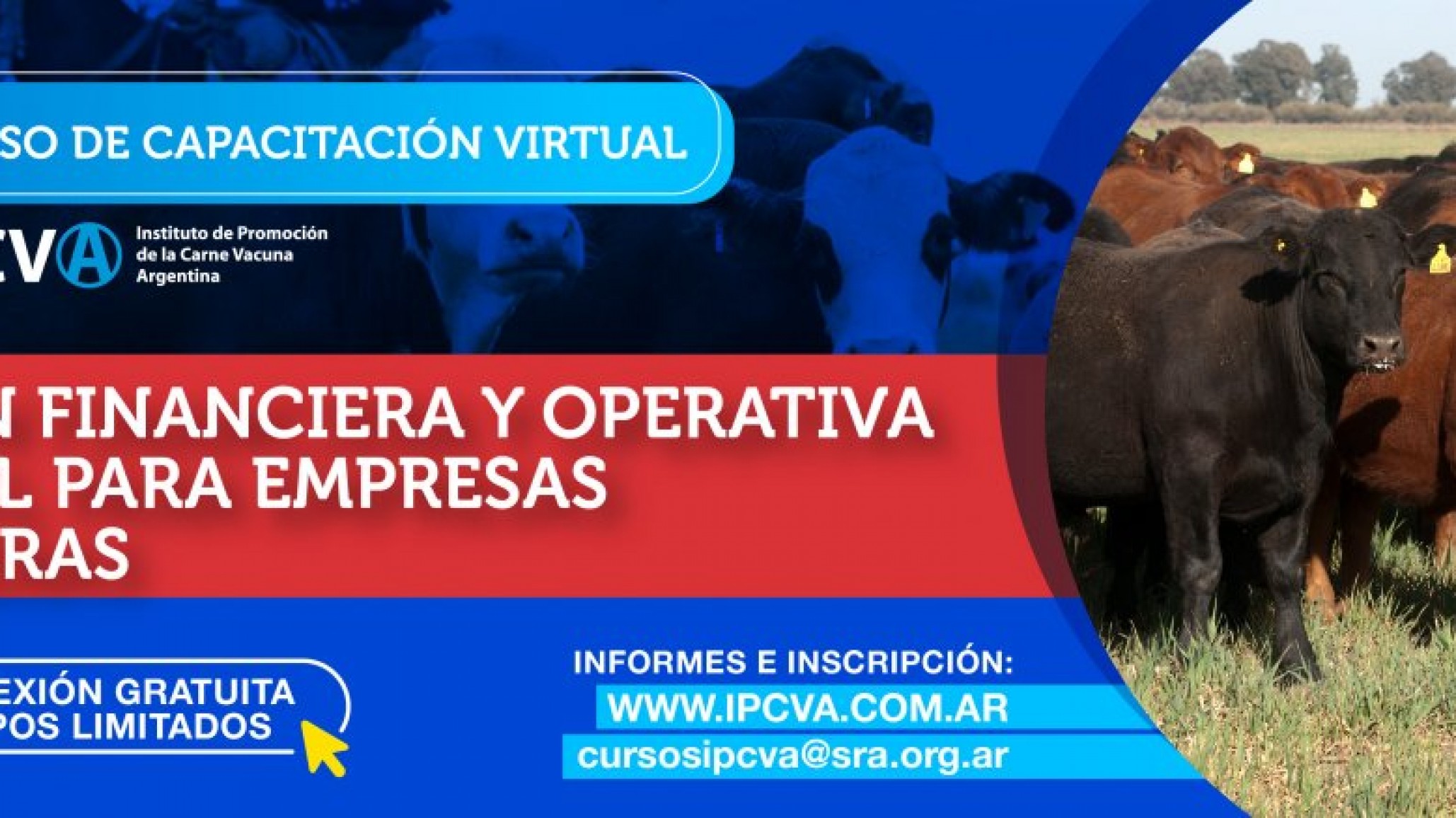 Gestión financiera y operativa en Excel para Empresas Ganaderas