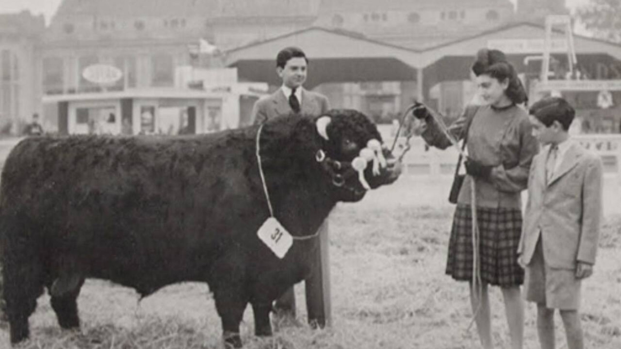 Tarquino, Firpo, Torino, Ciruelo, Pampero  y Cleto