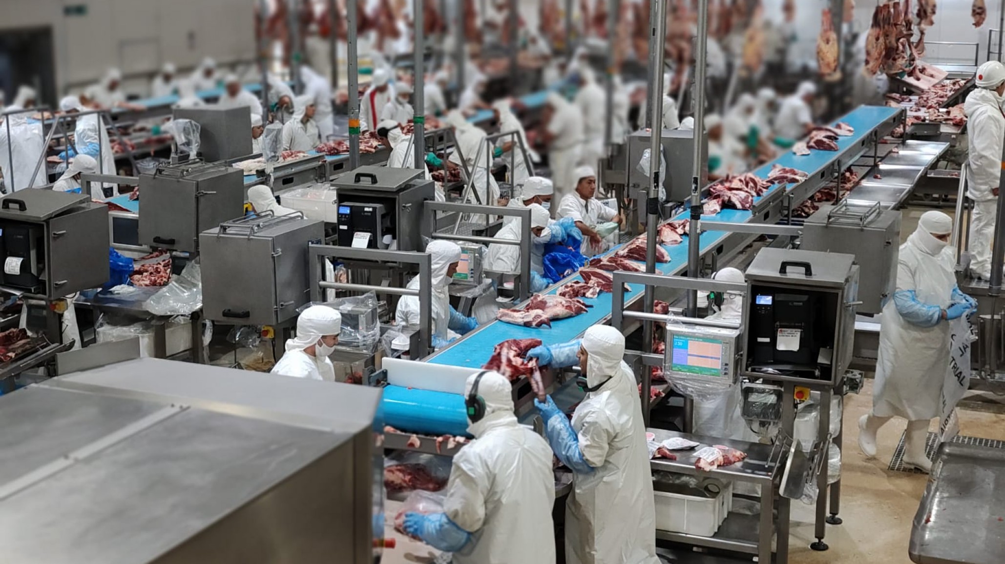 Se distribuyó el cupo de carne vacuna asignada por Estados Unidos