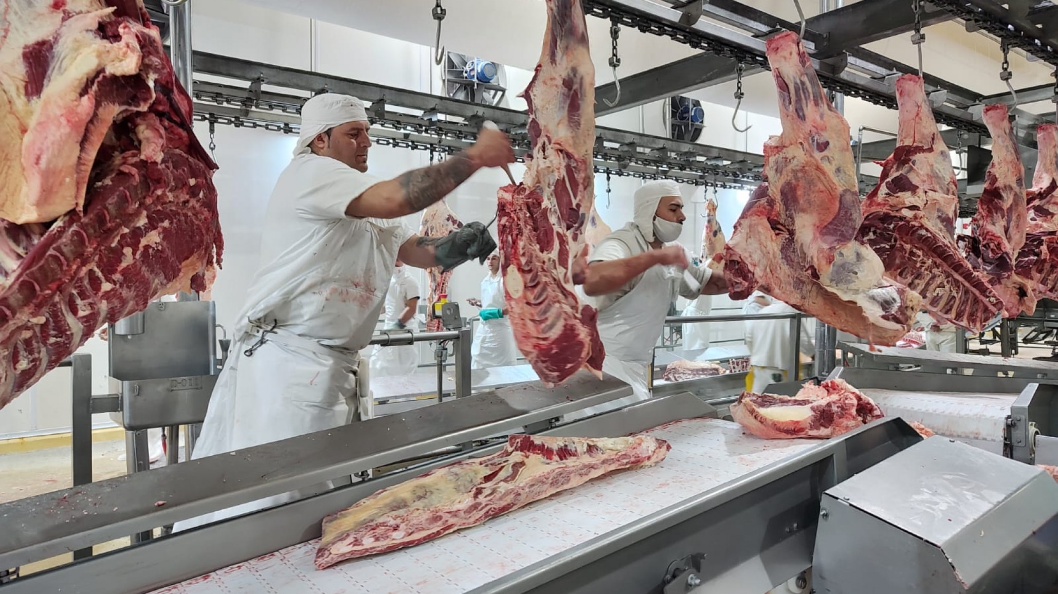 Los frigoríficos tienen hasta el 1° de julio para adecuar sus sistemas