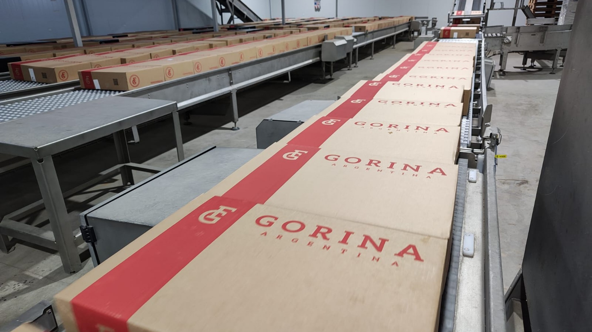 Argentina completó el cupo 2024/2025