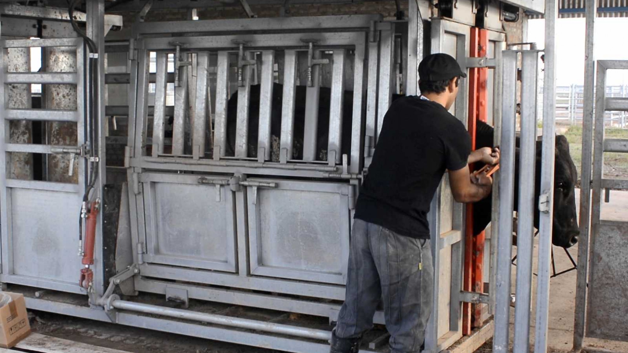 Se posterga la trazabilidad electrónica individual