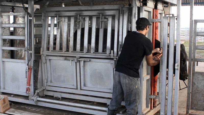 Se posterga la trazabilidad electrónica individual