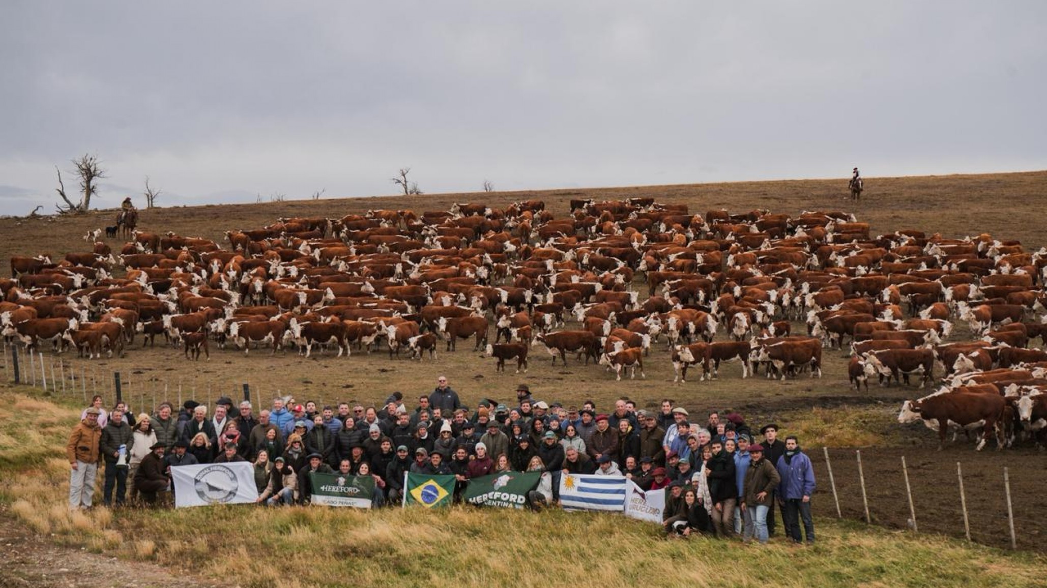 Hereford realizó su Gira Patagónica en Tierra del Fuego