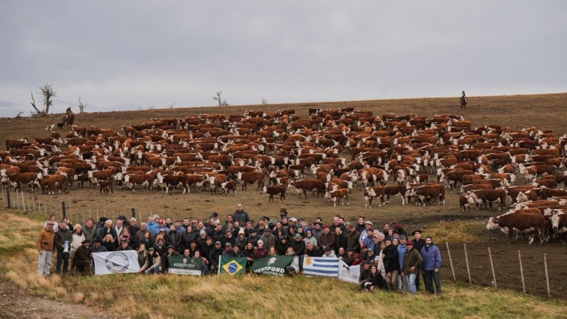Hereford realizó su Gira Patagónica en Tierra del Fuego