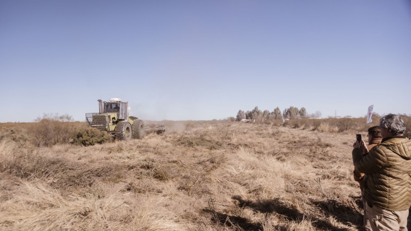 Ganadería eficiente en el semiárido