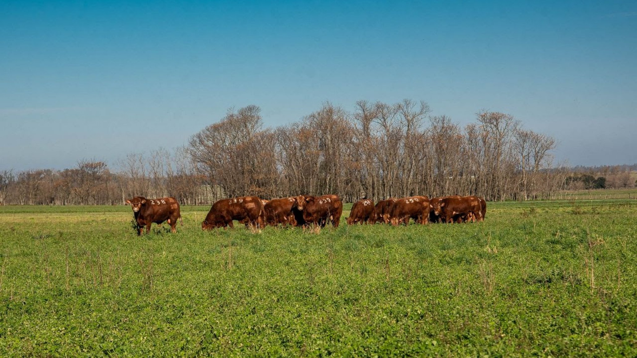 ¿Qué hacer frente al nuevo escenario económico?
