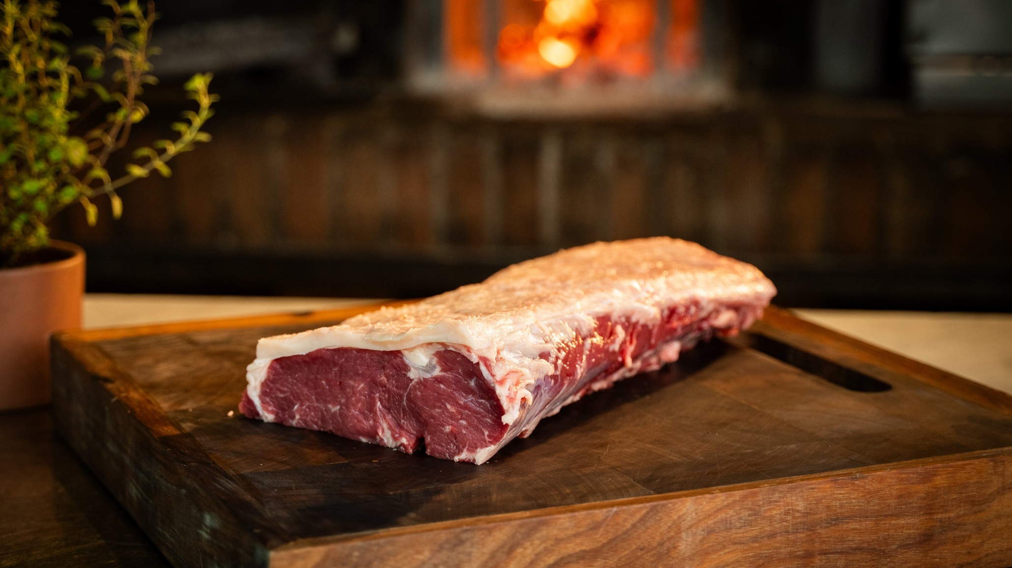 Lanzamiento del Primer Campeonato Mundial de Carnes