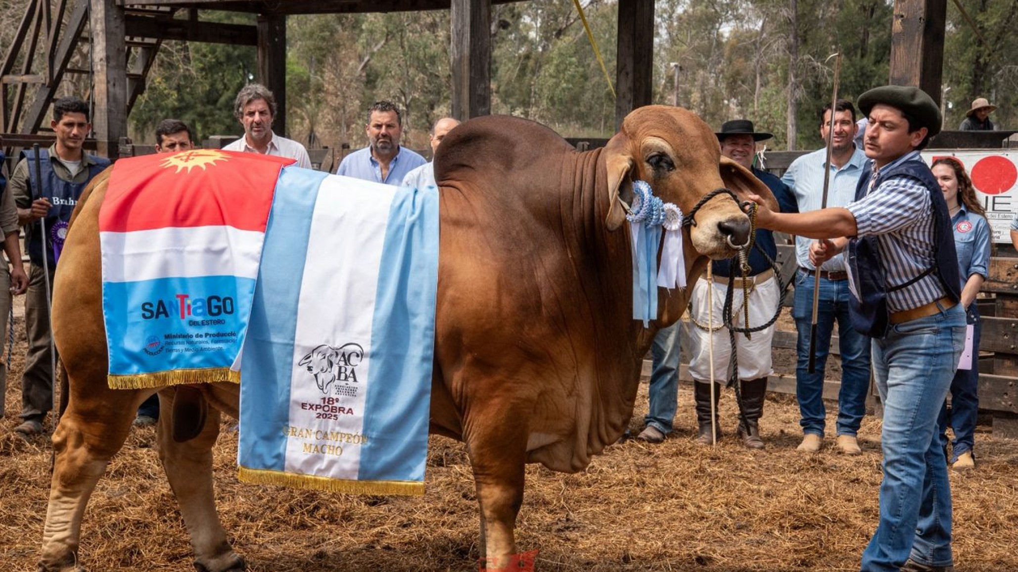 ExpoBRA: se coronaron a los grandes campeones