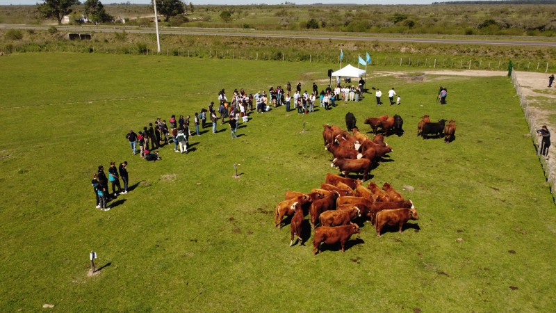 La ganadería del futuro se dio cita en Tres Luceros