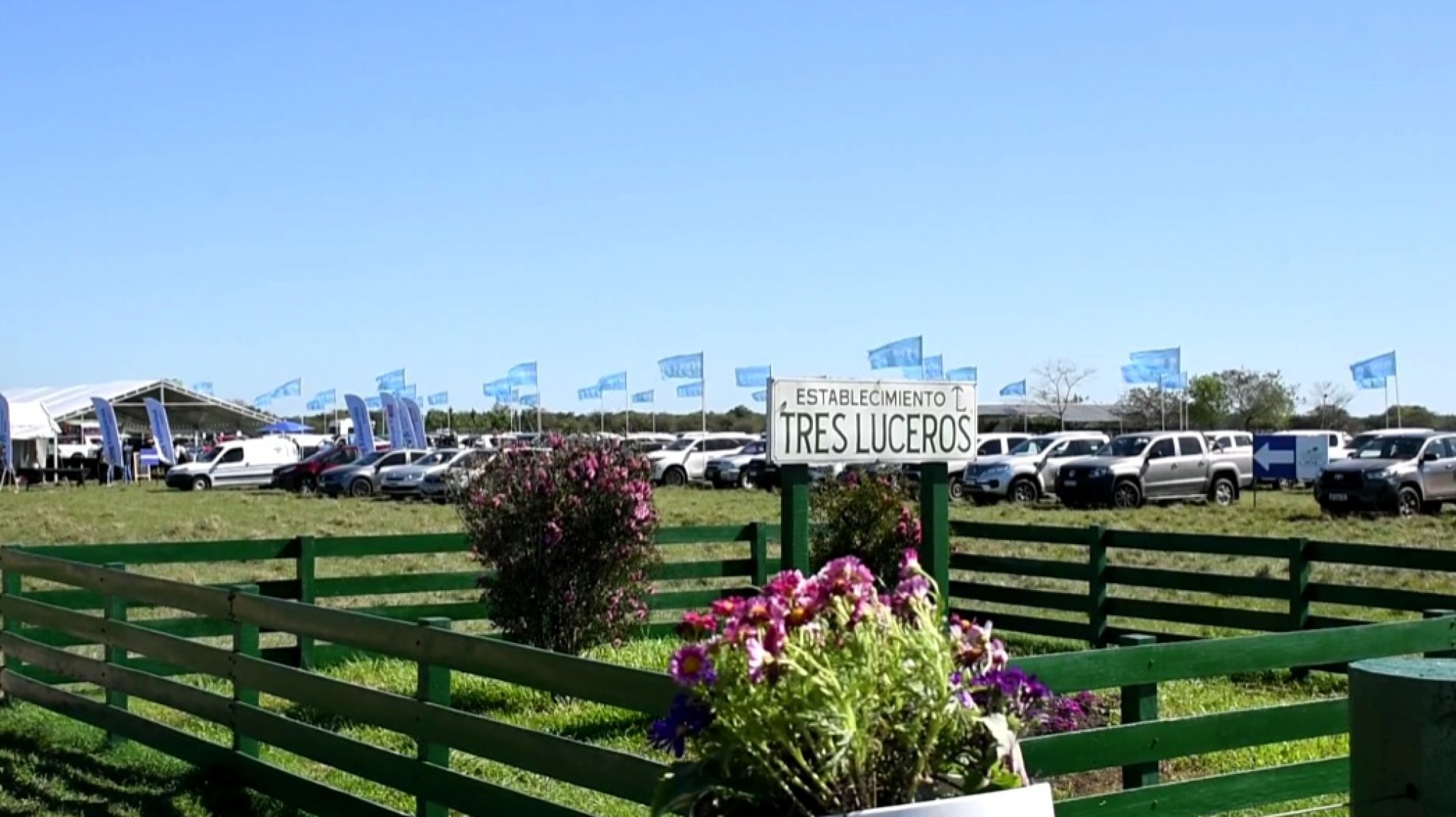 Eficiencia en el pastizal natural correntino