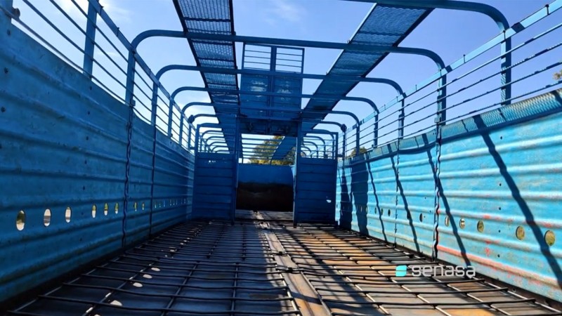 Normativa para playas de lavado y desinfección de transportes de animales