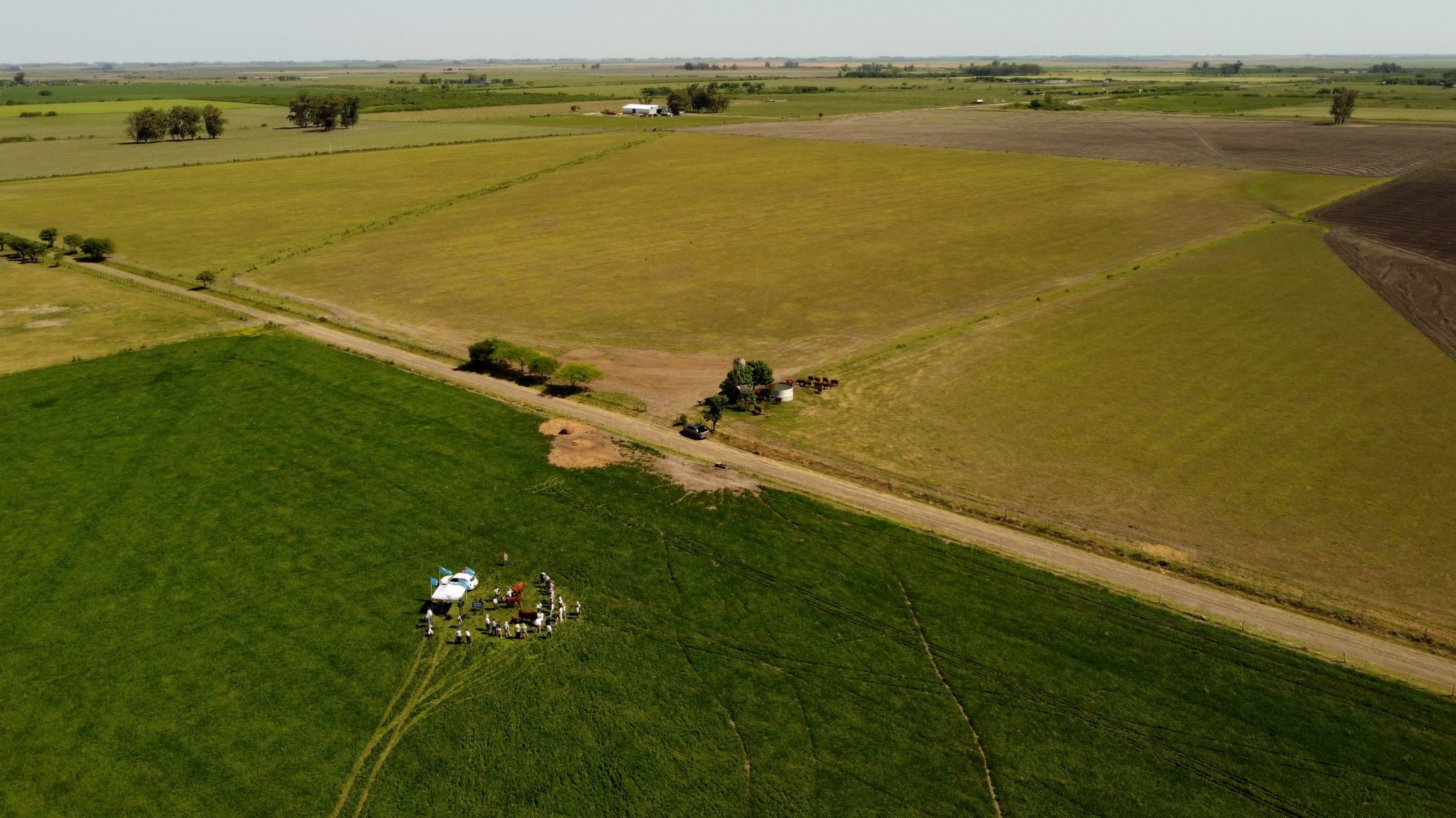 El manejo como base de sustentabilidad y rentabilidad
