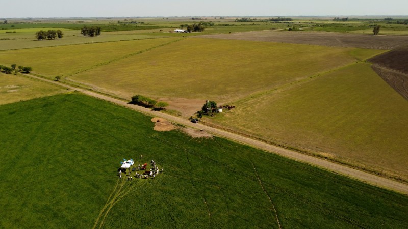 El manejo como base de sustentabilidad y rentabilidad