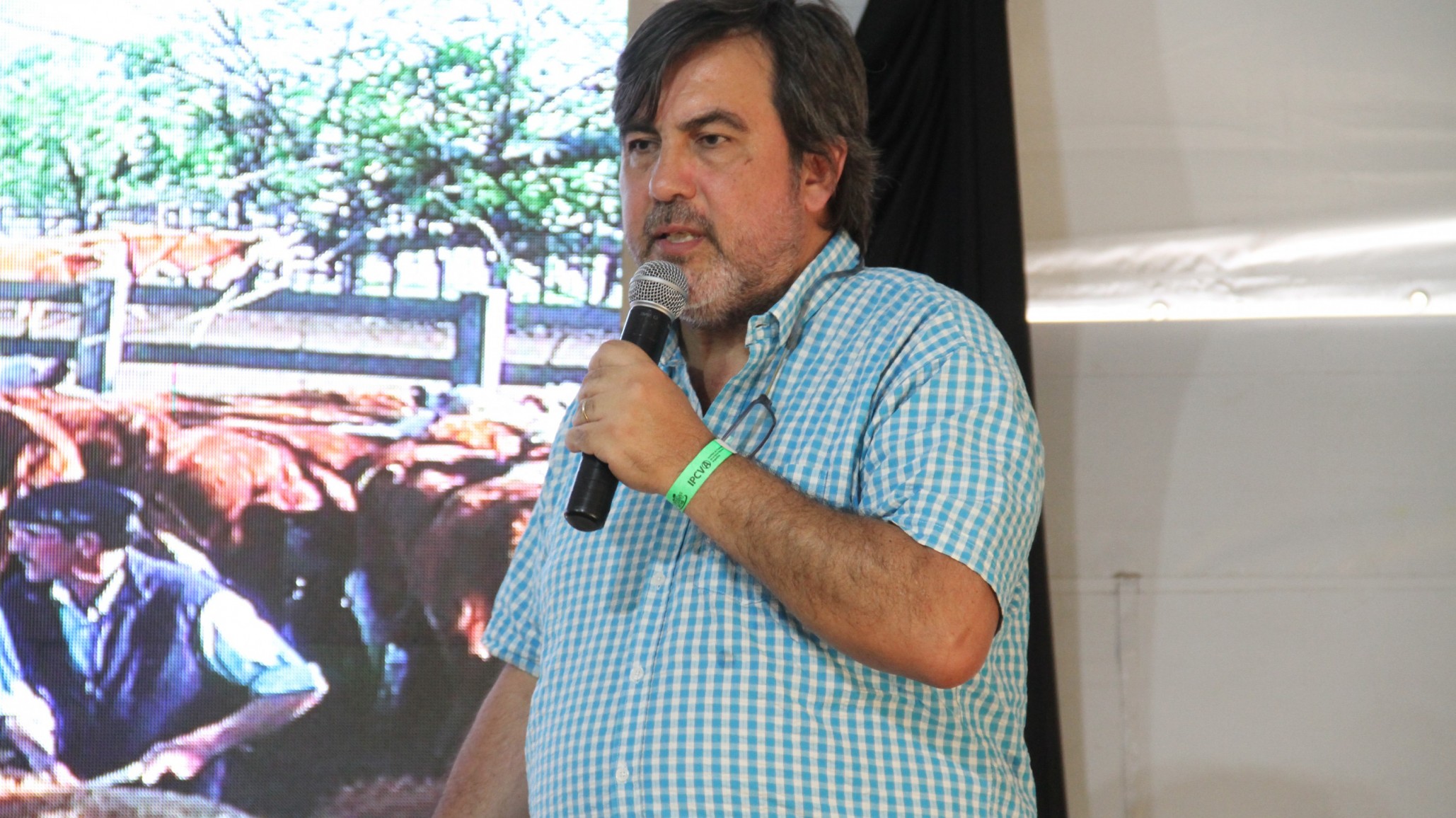 IATF para mejorar los rodeos de cría