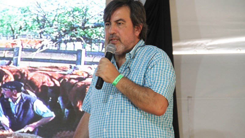 IATF para mejorar los rodeos de cría