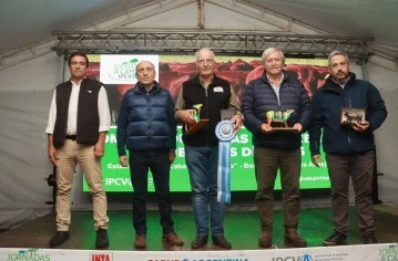 "El Campito": Shorthorn para carne de excelencia