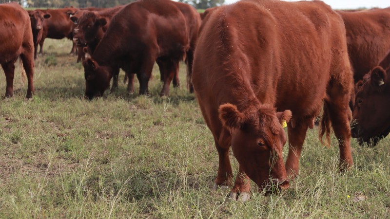 La excelencia tiene su recompensa
